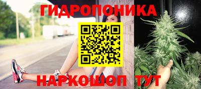 амф Балахна