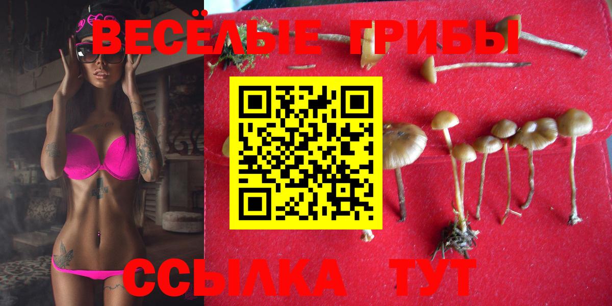 Галлюциногенные грибы Cubensis Добрянка